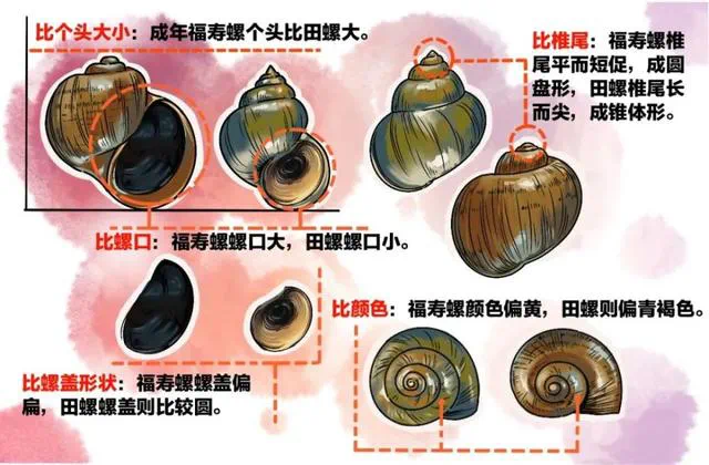 微信圖片_20250714140019.png 微信圖片_20250714140019.png