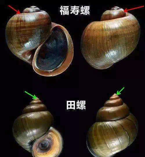 微信圖片_20250714135933.png 微信圖片_20250714135933.png