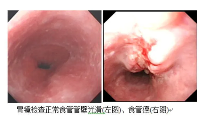圖片5.png 圖片5.png